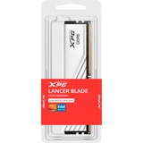 ADATA DIMM 16 GB DDR5-6000 (1x 16 GB), Arbeitsspeicher weiß, AX5U6000C4816G-SLABWH, XPG Lancer Blade, INTEL XMP, AMD EXPO